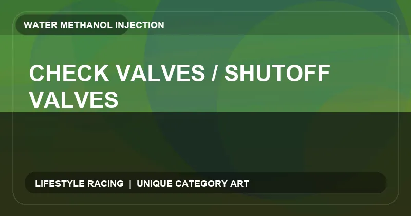 Check Valves / Shutoff Valves